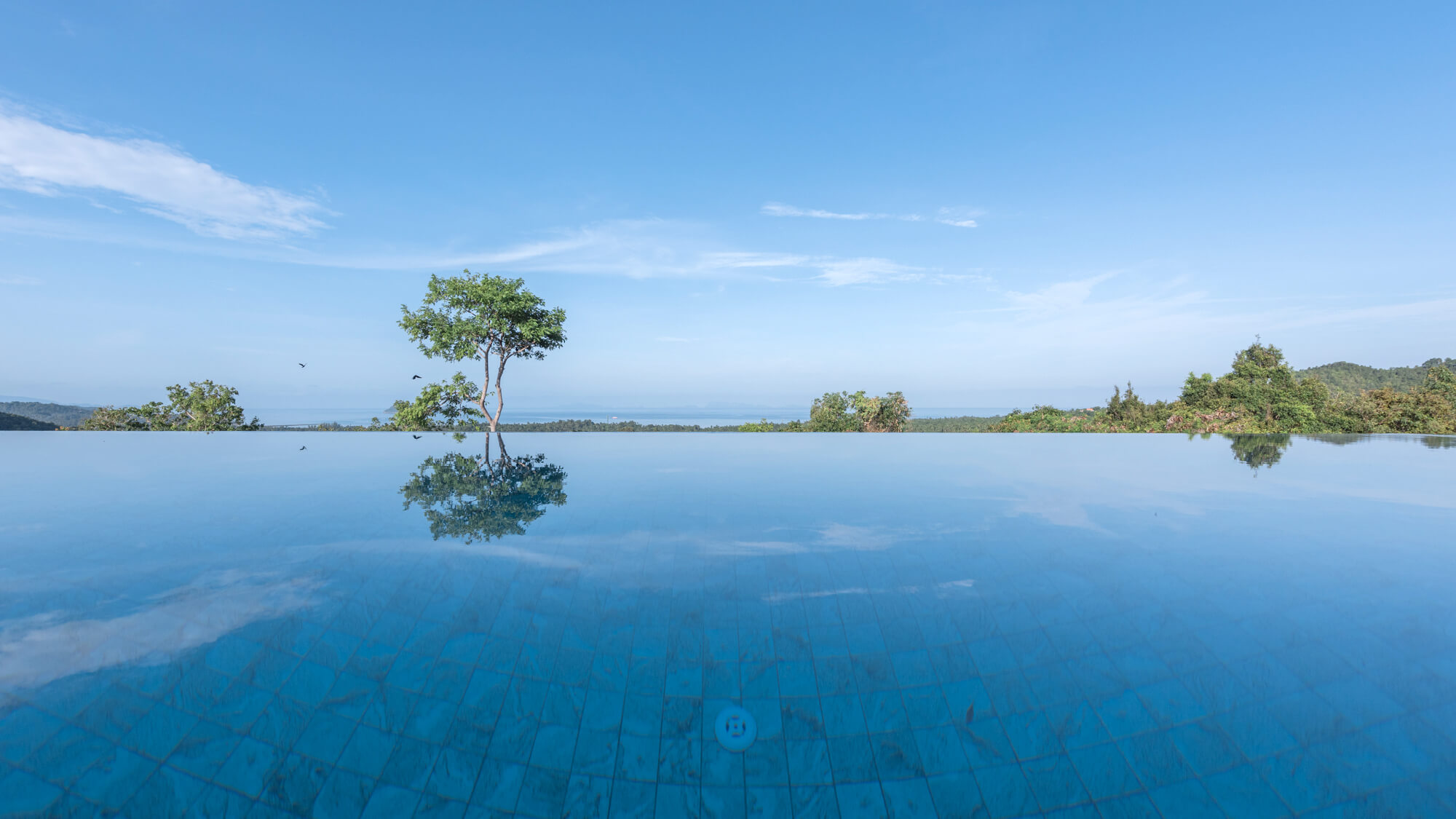 Fernblick infinity pool